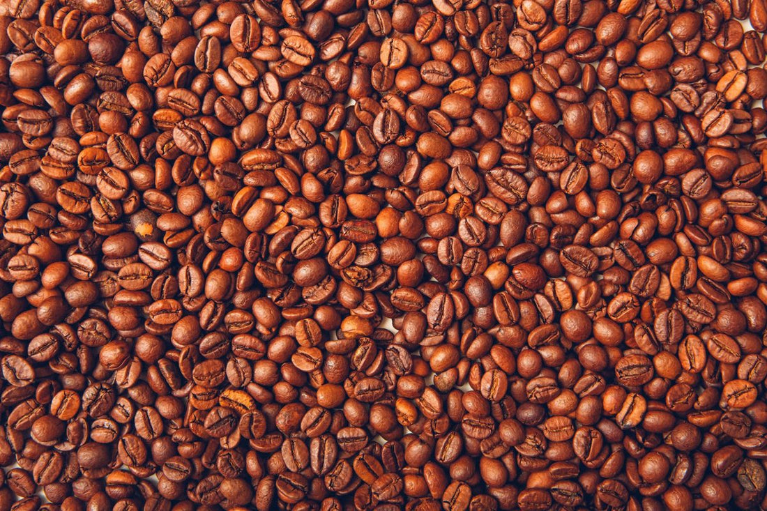 Guía Completa para Comprar Café en Grano: Todo lo que Necesitas Saber