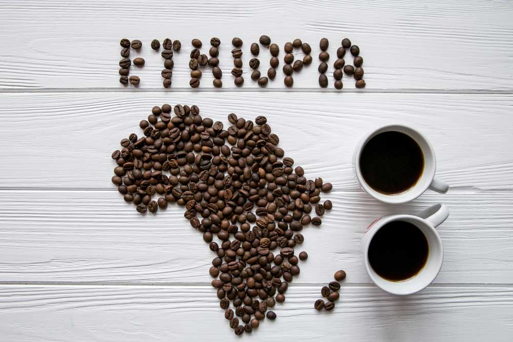 El Origen del Café: Historia y Curiosidades del Grano Más Querido del Mundo