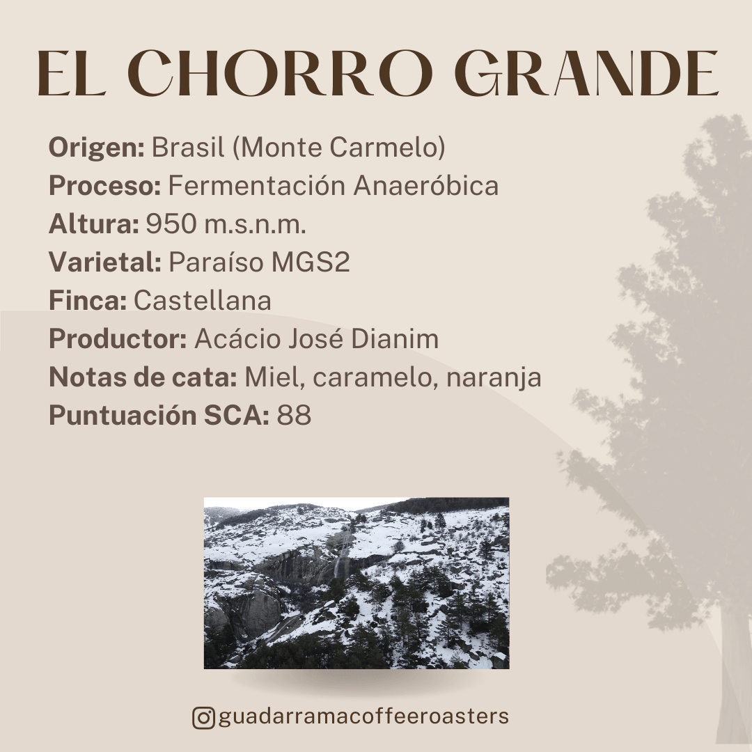 El Chorro Grande - Guadarrama Coffee Roasters