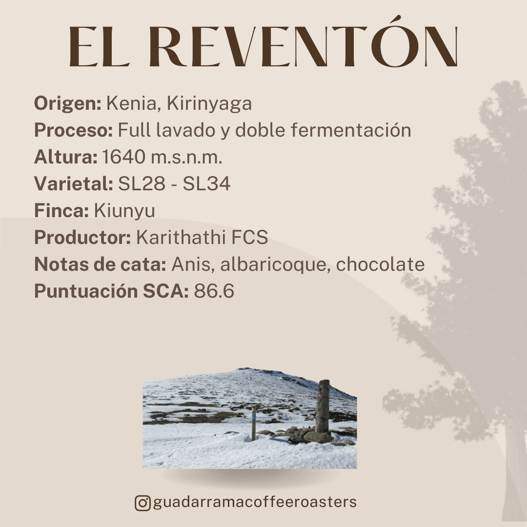 El Reventón - Guadarrama Coffee Roasters