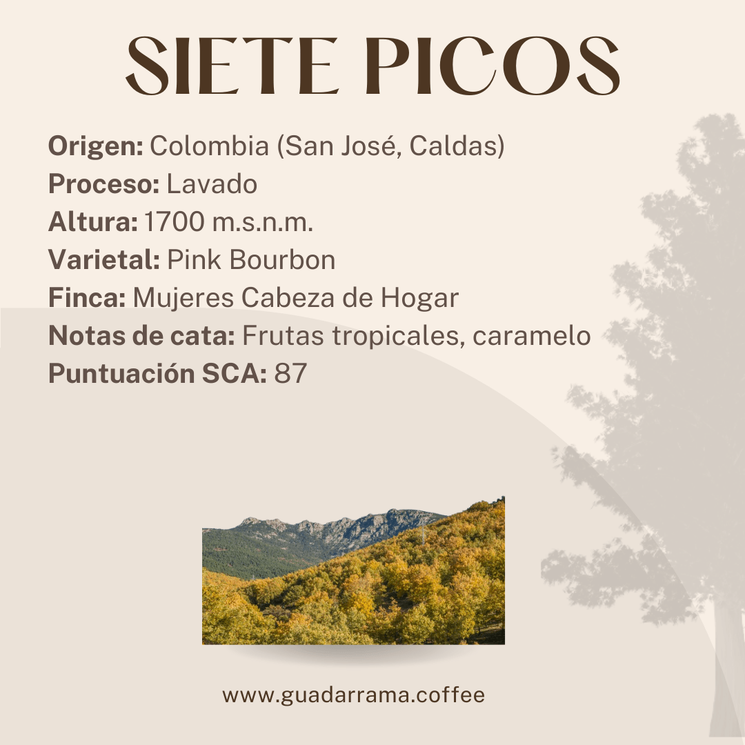 Siete Picos - Guadarrama Coffee Roasters