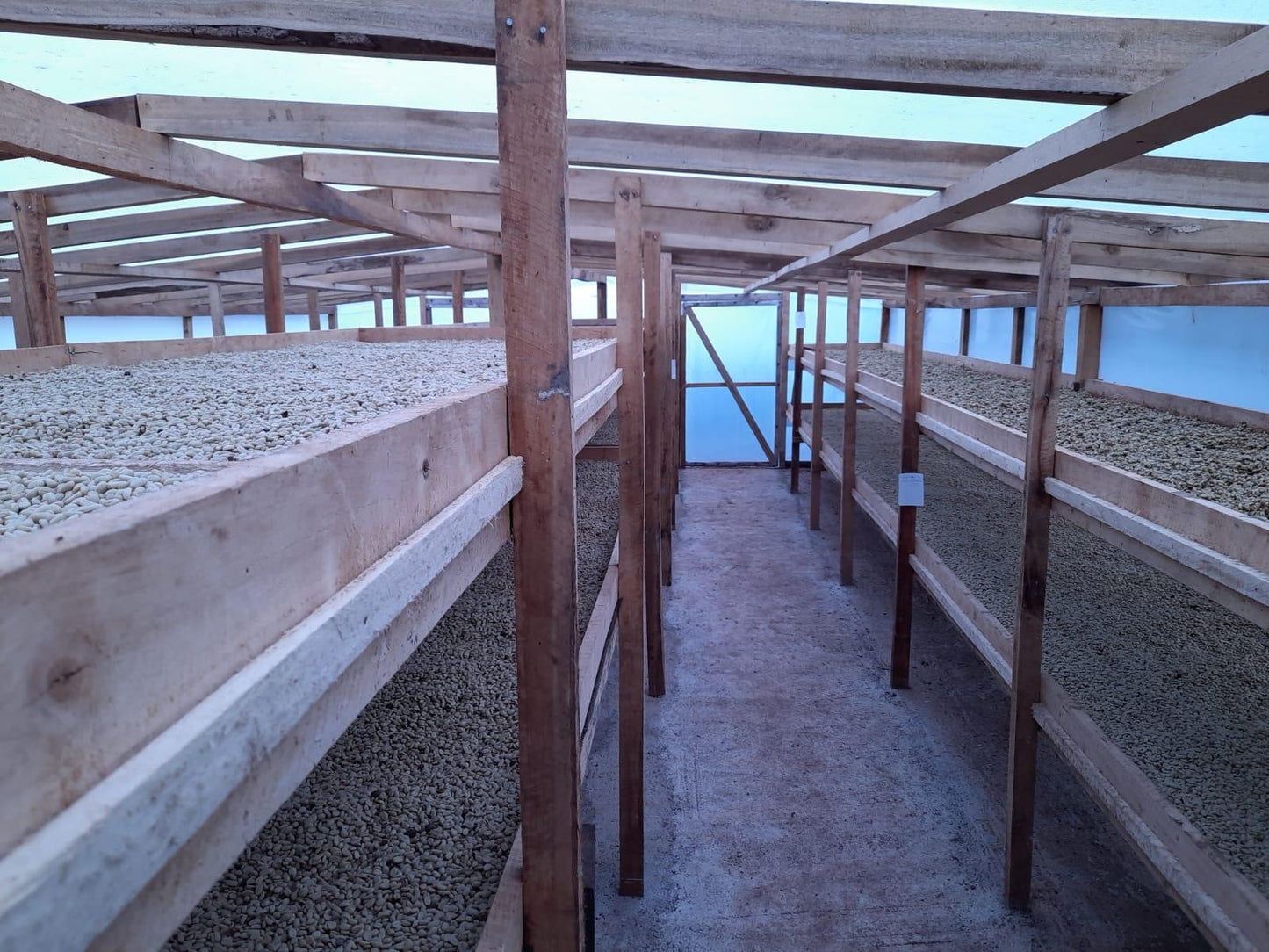 Cabanillas del Monte - Guadarrama Coffee Roasters