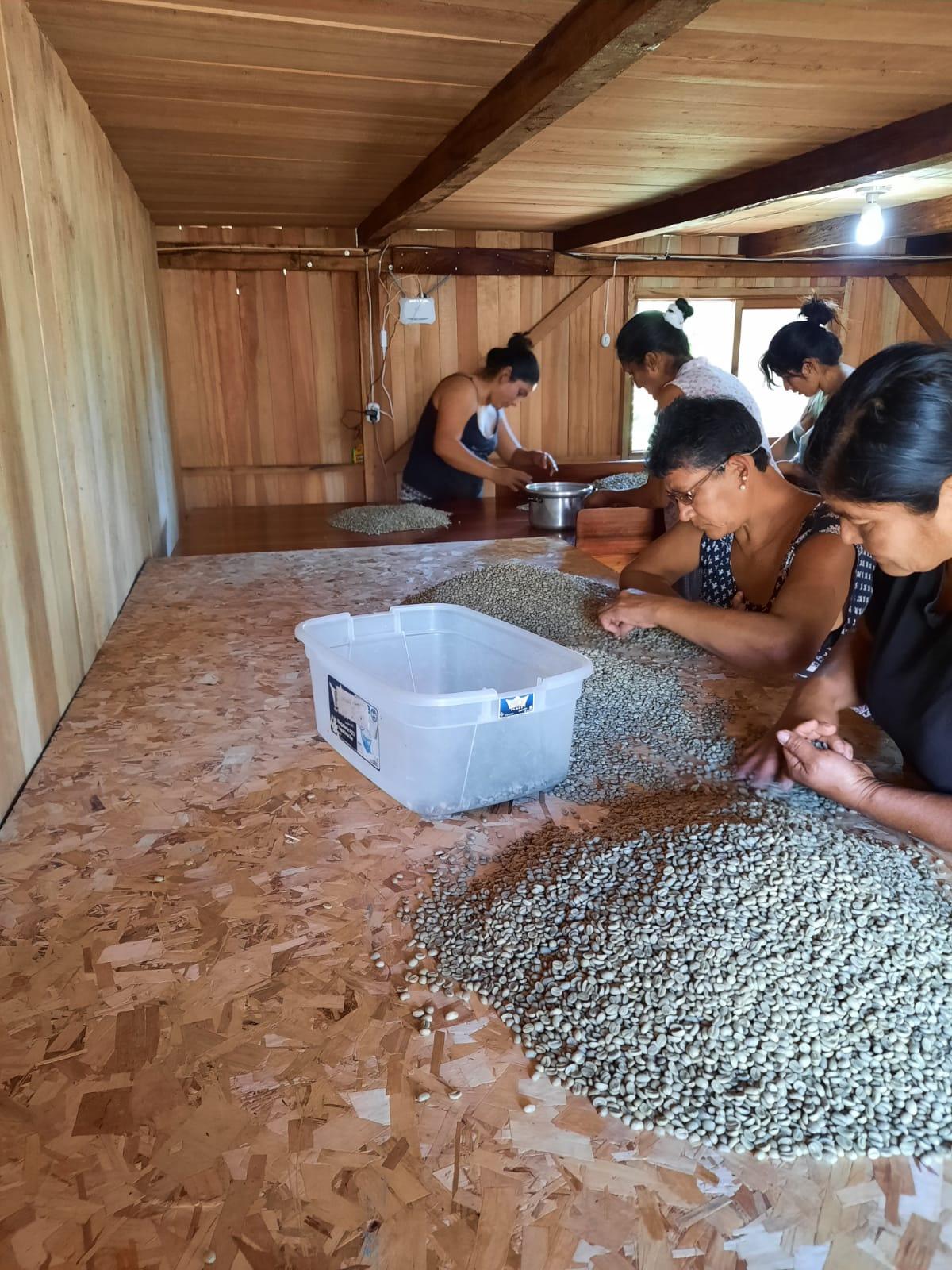 Cabanillas del Monte - Guadarrama Coffee Roasters
