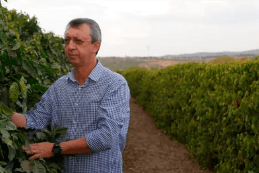 El Chorro Grande - Guadarrama Coffee Roasters