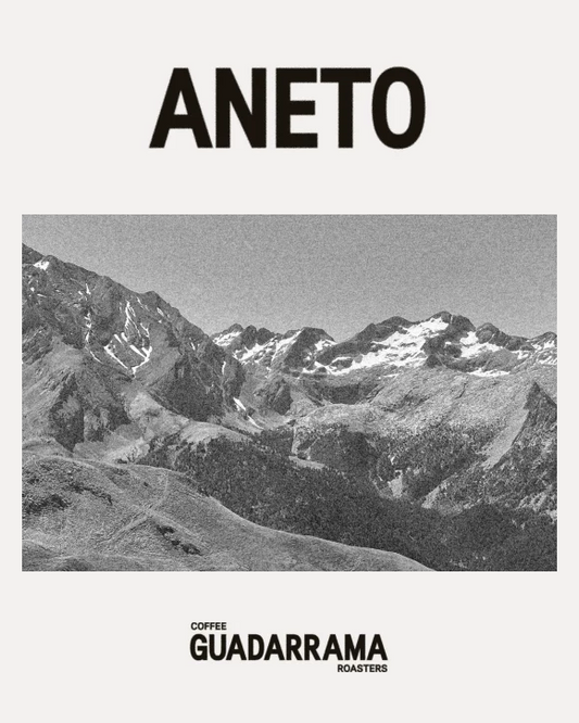 Café de especialidad Aneto – Guadarrama Coffee Roasters