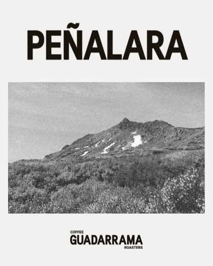 Café de especialidad Peñalara – Guadarrama Coffee Roasters