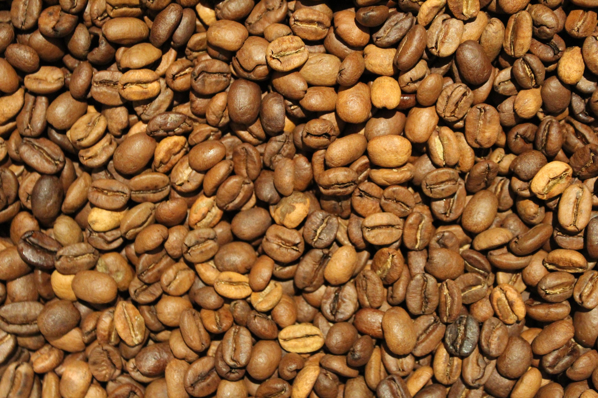 Valsain - Guadarrama Coffee Roasters